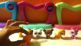 Lps summer camp part 4