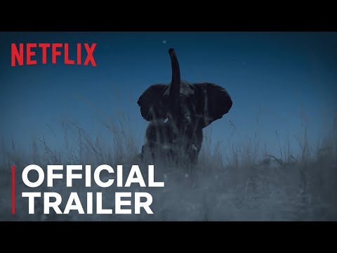 Night on Earth | Trailer | Netflix