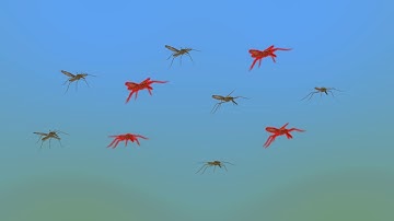 Resistance101 - Resistance and its spread (French)