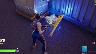 Collect Cat Food - Fortnite screenshot 5