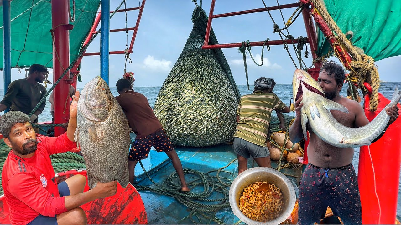 Untold‼️ Battling the Sea for Survival – Real Fishermen’s Journey ⚓💦