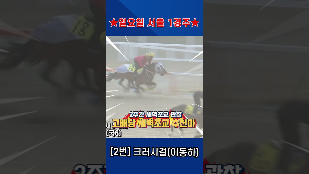 4월5일 일요일 서울 1경주!! 2주간 훈련보인 강백호의 새벽조교 쏘스마!!