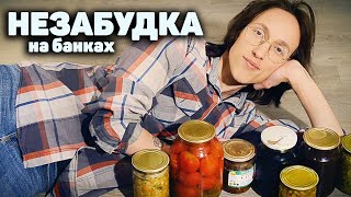 Видео ТИМА БЕЛОРУССКИХ - Незабудка (cover by АЭРОПЧЕЛА) (автор: АЭРОПЧЕЛА)