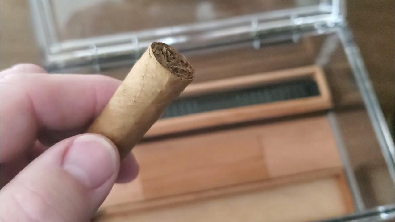 Best acrylic cigar humidor I found, Scotte YouTube