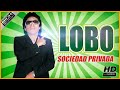 El Lobo y la Sociedad Privada MIX Romantico