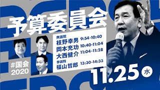 11月25日  参議院予算委員会 集中審議 #国会2020 生配信！