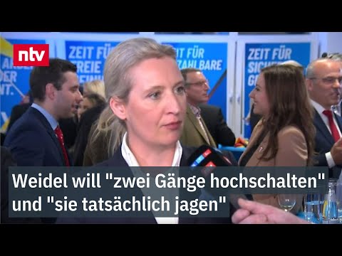 Weidel will 'zwei