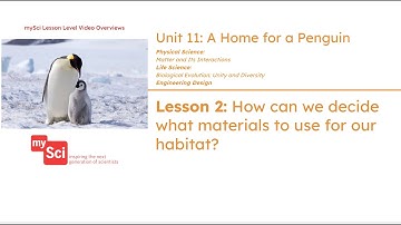 Unit 11 Lesson 2 Video