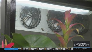 Flex alert extended for Labor Day, rolling blackouts are likely per Cal-Iso