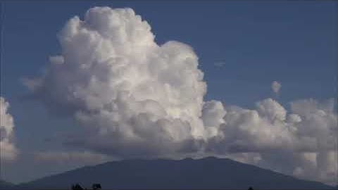 سورة المؤمنون - عبد الباسط عبد الصمد - من دون إعلانات