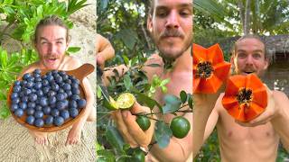The Most Unusual Fruits IVe Ever Come Across
The Most Unusual Fruits IVe Ever Come Across
👉Like & Subscribe Here: https://bit.ly/subscribe-to-fitshortie
♡ Leave a comment below, wed love to know your thoughts! The Most Unusual Fruits IVe Ever Come Across