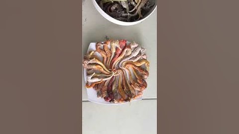 Cá Ngựa Màu Siêu Đẹp Tại Thế Giới Rượu Ngâm #cangua #thegioiruoungam