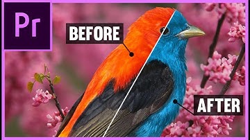 CHANGE ANY OBJECT COLOR IN YOUR VIDEO WITH ADOBE PREMIERE PRO (Hindi/Urdu)