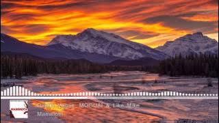 Dimitri Vegas, MOGUAI & Like Mike - Mammoth (Bass Boosted)