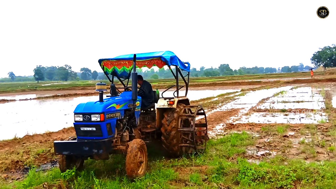 Eicher 380🔥 Paddy Field King 👑 | Desi Farming Power💪#Eicher380 #TractorLovers #DesiFarming