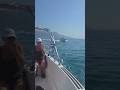 Self Drive Boat Rental in Kardamena Greece | Amazing Day on the Aegean Sea