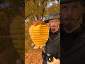 Why Americans soldiers Put grenade in honeybee 🐝 #shorts #viral #trending #trendingviralshorts