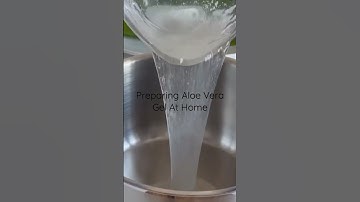 How To Prepare Aloe Vera Gel At Home #Shorts