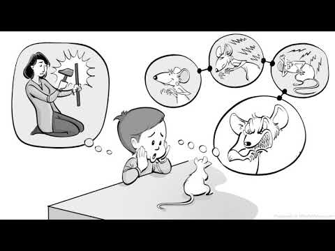 فيديو: كيف تنظر نظرية السلوكية إلى الطفل؟