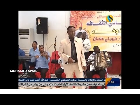 مجاهد يحي يعني كيفن ما بريدك