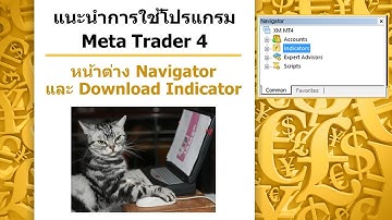 การใช้โปรแกรม Meta Trader4(MT4)หน้าต่าง Navigator and Download Indicator (ความรู้พื้นฐาน Forex)