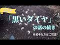 キャンプ場のバイト時代に聞いた「黒いダイヤ」の話の続き［vol.291］