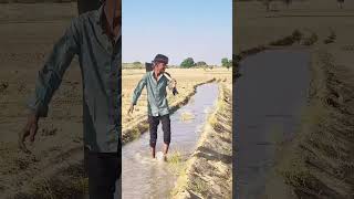 or jyada Se jyada kya ho jayega kahte kahte pura stay nass ho gya mama funny video 😁🤣 #mohitsehgal