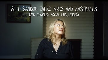 An Animated Guide to Complex Social Challenges