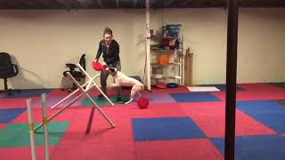 Big Overs Training - Leap