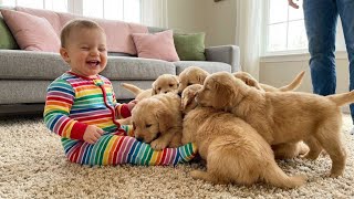 Adorable Baby & Puppy Funny Moments Husky, Labrador Reactions Compilation Try Not To Laugh