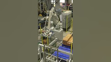 Palletizing Machine by Clearpack Group