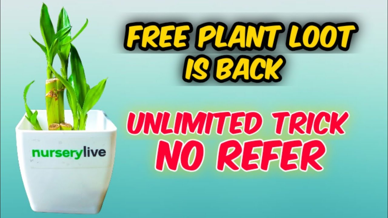 free plants मंगाए 😃 | free plants | nurserylive free plants | free shopping | free products online