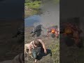 Best Survival Skills vid696 #gaming