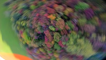 Colours Immersion! (Kiss V2 RC40i)