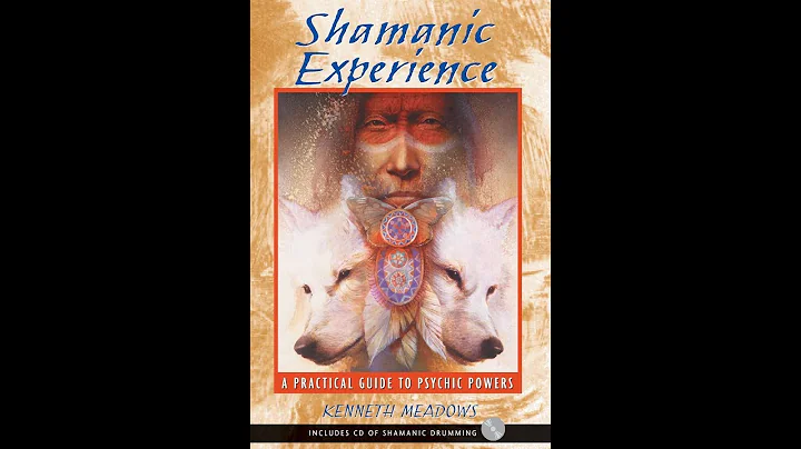 Shamanic Experience Book Review