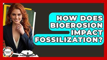 How Does Bioerosion Impact Fossilization? - Anthropology Insights