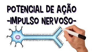 Sistema nervoso: Potencial de ação | Impulso Nervoso | Despolarização | Repolarização | Refratário