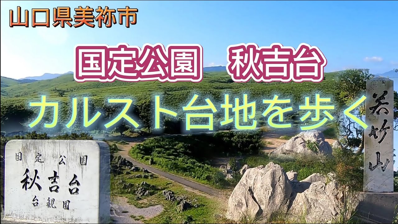 【 秋吉台 】 国定公園 秋吉台日本最大級 の カルスト台地 を歩く  山口県美祢市