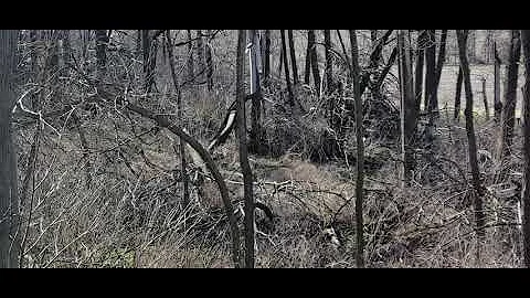 Derecho Damage from 2020 - video 4/24/22