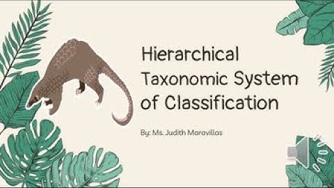 Hierarchical Taxonomic System of Classification-Introduction