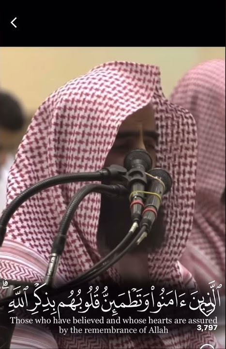 Surah Ar-Ra’d | 13:28-29 | Sheikh Muhammad Al-Luhaidan #recitation #shorts