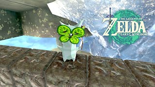 MOVING UP AND TURNING BACK - The Legend of Zelda: Tears of the Kingdom (Part 4)