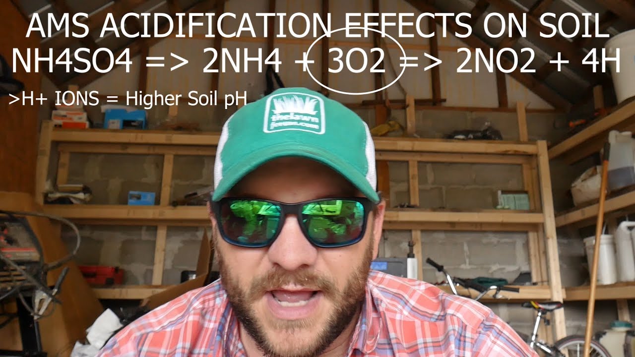 СУЛЬФАТ АММОНИЯ — ЛУЧШИЙ АЗОТ ДЛЯ ГАЗОНОВ? ВСЁ О СУЛЬФАТЕ АММОНИЯ