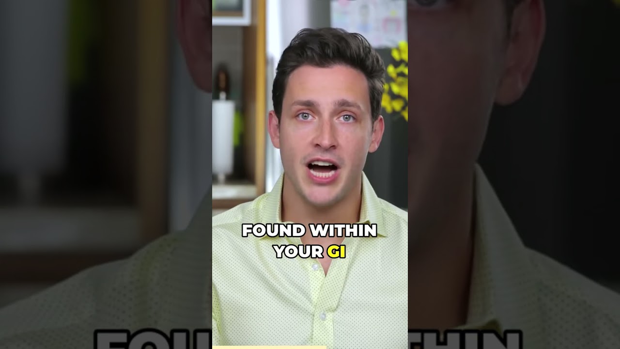 The Role of Gut Bacteria in Nutrient Absorption