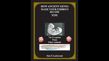 How Ancient Genes Made Your Embryo Become You