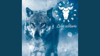 Lobo Solitario
