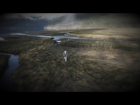 Why Are The Browns Going To Jail Alaskan Bush People 