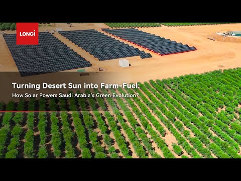 Taif Saudi Arabia Shining A Light On Solar Projects