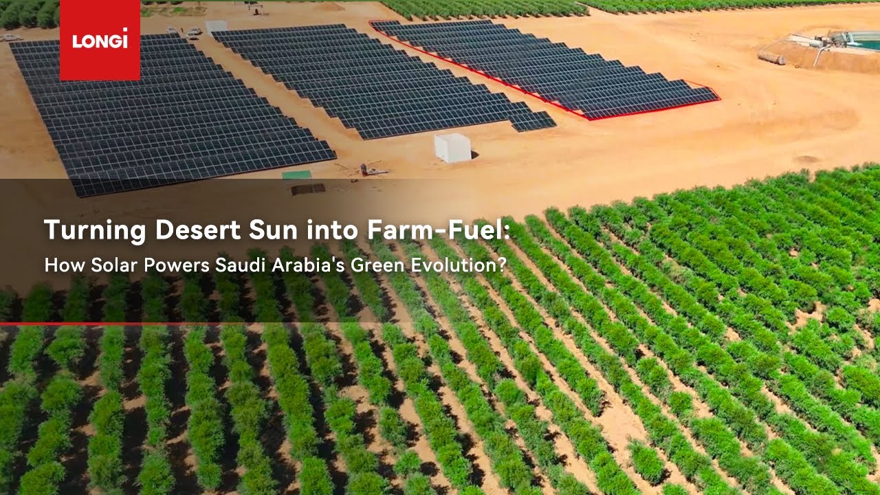 Turning Desert Sun into Farm-Fuel:  How Solar Powers Saudi Arabia's Green Evolution？