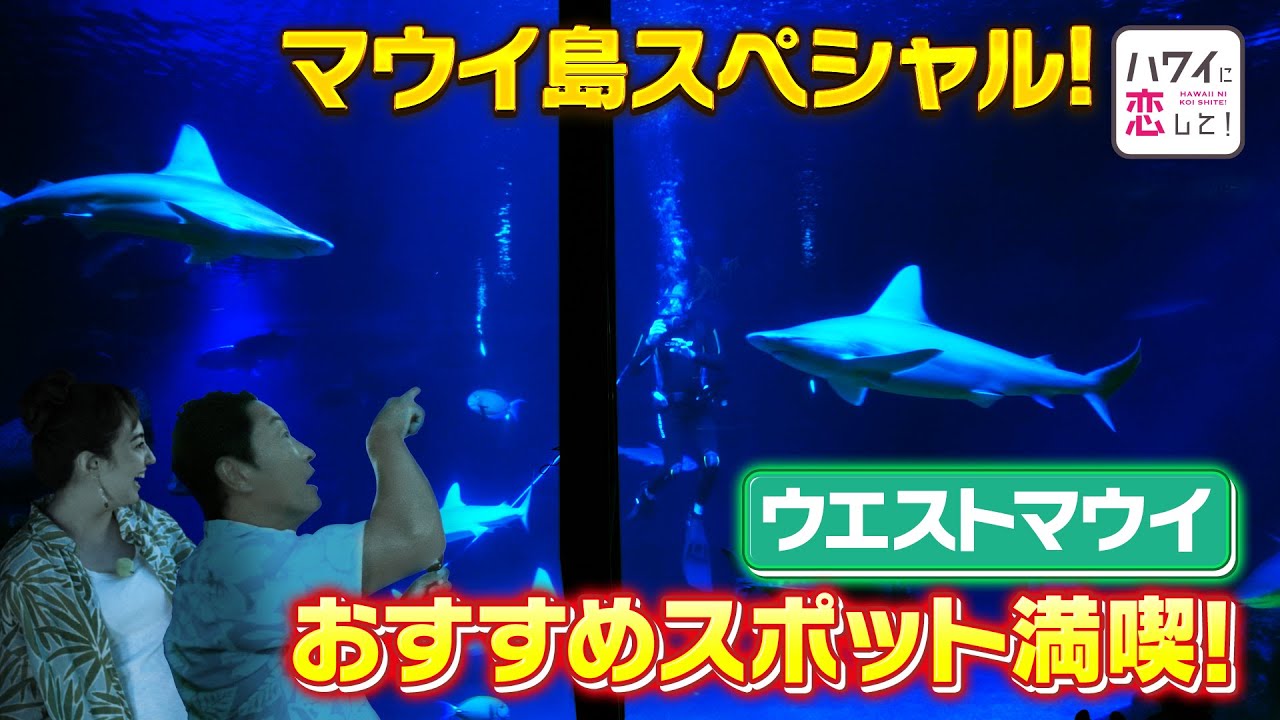【BS12ハワイに恋してｘハワイ州観光局】初めてのマウイ島旅行に｜西マウイの定番観光スポットとビーチ散策（家族・女子旅・カップル向け）